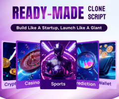 Ready-Made Clone Script to Jumpstart Your Startup Without Building From Scratch