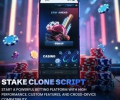 Stake Clone Script That Helps You Build a Billion-Dollar Casino Brand