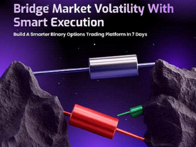 Hire Developers for Secure Binary Option Trading Platform Development