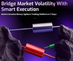 Hire Developers for Secure Binary Option Trading Platform Development