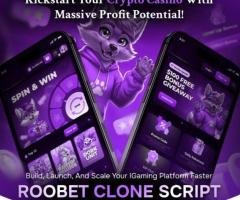 Get Started in Crypto Gambling with Scalable Roobet Clone Script Solution