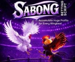 Go Live Fast with Our Ready-to-Deploy Sabong Betting Script