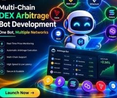 Multi-Chain DEX Arbitrage Bot Development – One Bot, Multiple Networks