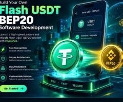 Flash USDT BEP20 Software Development Solution: A Technical Guide for Investors