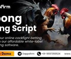 Start Your Global Sabong Betting Business with Ease