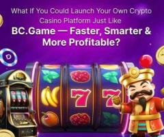 Kickstart Your Crypto Betting Platform with BC.Game Clone Script Today